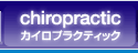 chiropractic/�J�C���v���N�e�B�b�N